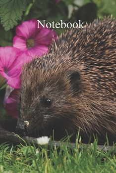 Paperback Notebook: Notebook Hedgehog Fun gift for someone's birthday, perfect present for a friend or a family member. Blank Lined Journa Book
