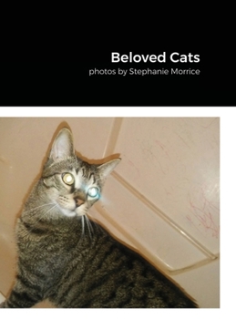 Hardcover Cats Book