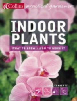 Paperback Indoor Plants Book