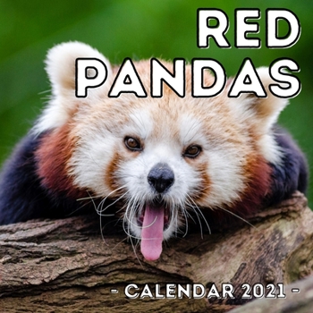 Red Pandas 2021 Calendar: Cute Gift Idea For Panda Lovers Men And Women