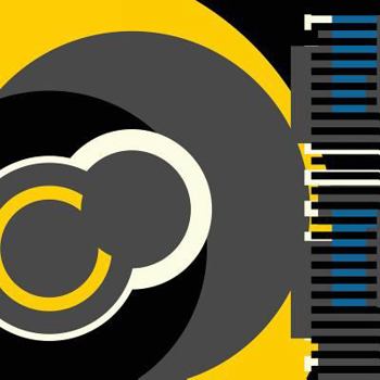 Paperback swarm: volume 2 Book