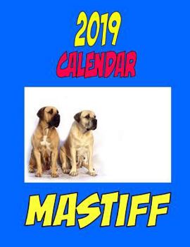 Paperback 2019 Calendar Mastiff: Dog weekly calendar, personal contacts list, password log, notes and to do list. Book