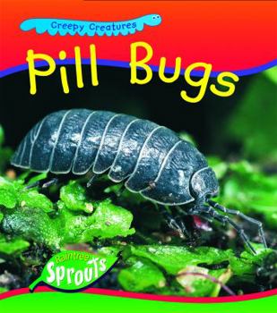 Paperback Pill Bugs Book