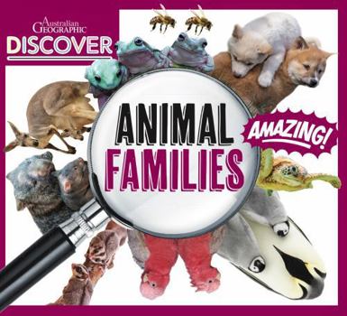 Paperback Discover: Animal Families Book