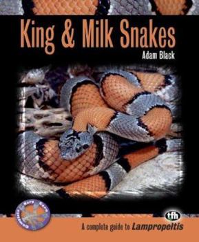 Paperback King & Milk Snakes Book