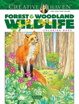 Paperback Creative Haven Forest & Woodland Wildlife Coloring Book