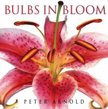 Hardcover Bulbs in Bloom Book