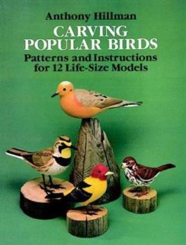 Paperback Carving Popular Birds: Patterns and Instructions for 12 Life-Size Models Book