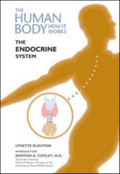 The Endocrine System (The Human Body-How It Works) - Book  of the Human Body: How It Works