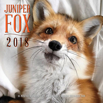 Calendar Juniper Fox 2018: 16 Month Calendar Includes September 2017 Through December 2018 Book