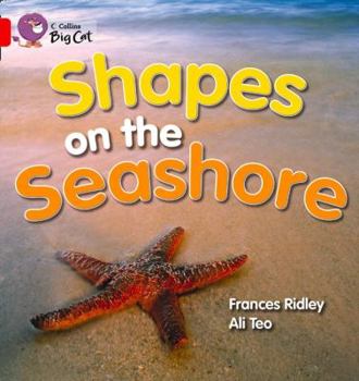 Paperback Shapes on the Seashore Book