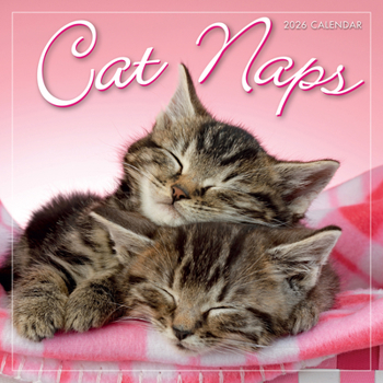 Mini-Disc 2026 Cat Naps Mini Calendar Book