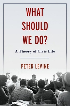 Hardcover What Should We Do?: A Theory of Civic Life Book