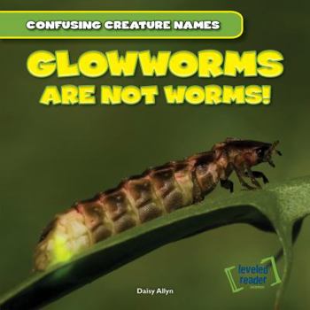 Paperback Glowworms Are Not Worms! Book