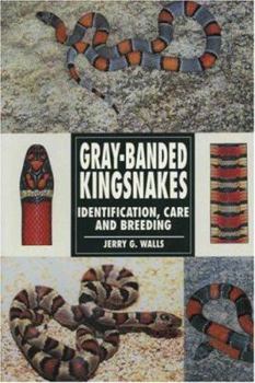 Paperback Gray Banded Kingsnakes Book