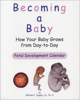 Paperback Becoming a Baby: How Your Baby Grows from Day-to-Day Book
