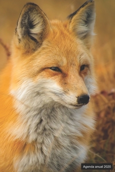 Agenda anual 2020: Agenda anual para 2020, 12 meses, agenda de 52 semanas  con tareas y metas; formato práctico 6x9; motivo: Fuchs (Spanish Edition)