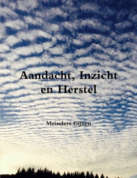 Paperback Aandacht, Inzicht en Herstel [Dutch] Book