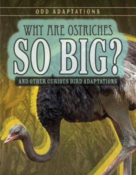 Library Binding Why Are Ostriches So Big?: And Other Curious Bird Adaptations Book