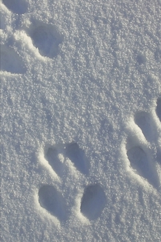 2020 Weekly Planner Winter Theme Snow Footprints 134 Pages: 2020 Planners Calendars Organizers Datebooks Appointment Books Agendas