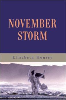 Paperback November Storm Book