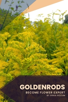 Goldenrods: Become flower expert