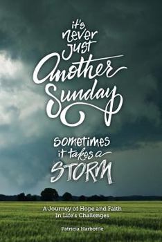 Paperback It's Never Just Another Sunday: Sometimes It Takes a Storm Book