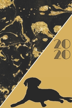 2020: 2020 Sunday Start Monthly Calendar and Organizer | Dalmatian Gift for Women