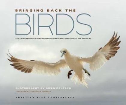 Hardcover Bringing Back the Birds: Exploring Migration and Preserving Birdscapes Throughout the Americas Book