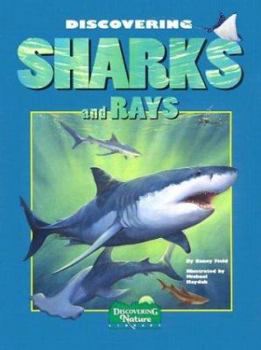 Paperback Discovering Sharks and Rays [With Stickers] Book