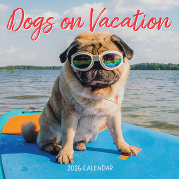 Calendar Dogs on Vacation Wall Calendar 2026 Book