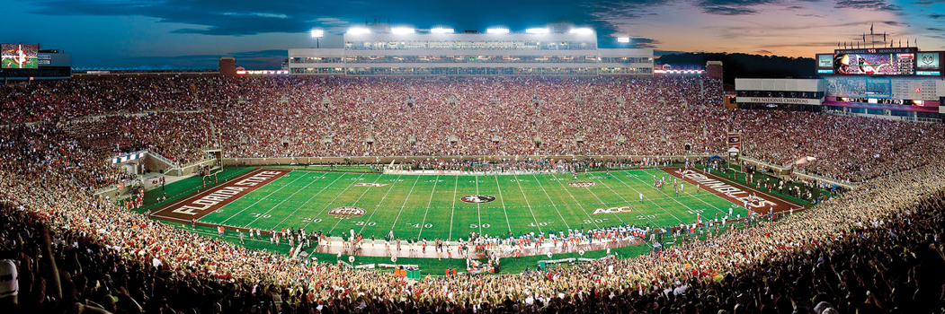 MasterPieces Collegiate Florida State Seminoles 1000 Piece Stadium Panoramic Jigsaw Puzzle