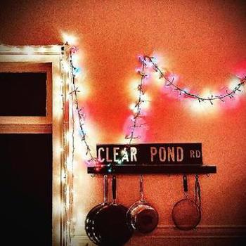 Vinyl Clear Pond Road (Clear Vinyl) Book