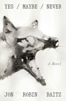 Yes/Maybe/Never: A Novel