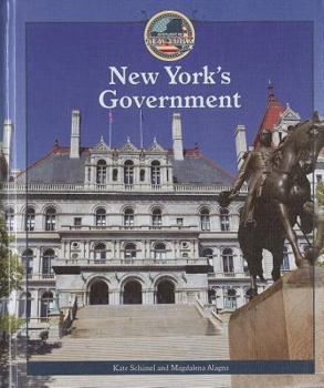 Library Binding New York's Government Book