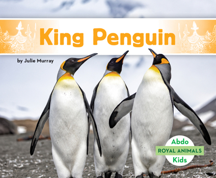 King Penguin (Royal Animals)