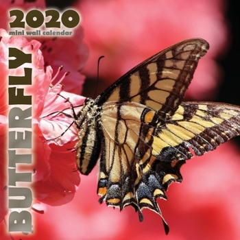 Paperback Butterfly 2020 Mini Wall Calendar Book