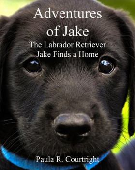 Paperback The Adventure of Jake the Labrador Retriever: Jake Finds a Home Book