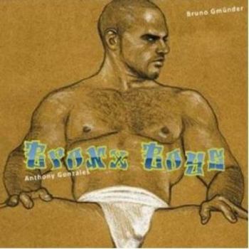 Paperback Bronx Boys Book