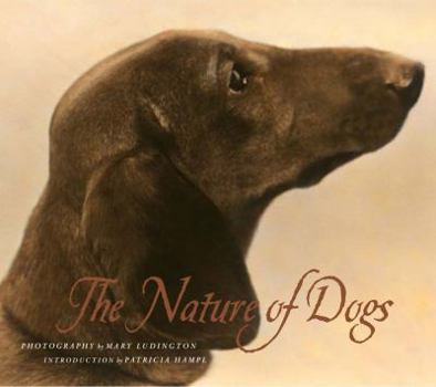 Hardcover The Nature of Dogs Book