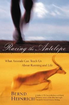 Hardcover Racing the Antelope: What Animals Can Teach Us about Running and Life Book