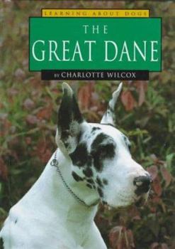 The Great Dane (Wilcox, Charlotte. Learning About Dogs.) - Book  of the Learning About Dogs