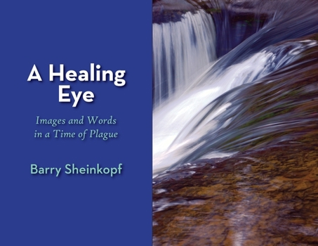 Paperback A Healing Eye: Images and Words in a Time of Plague Book