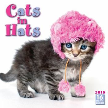 Calendar Cats In Hats 2018 Wall Calendar (CA0116) Book