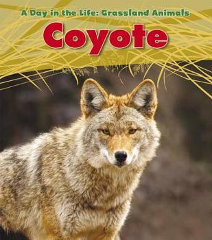 Paperback Coyote Book