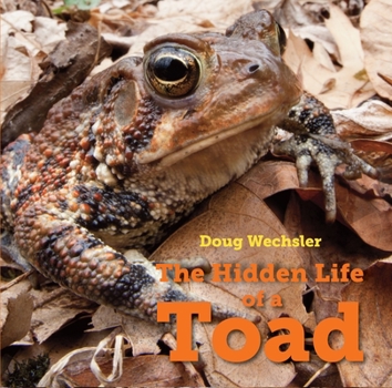 Hardcover The Hidden Life of a Toad Book