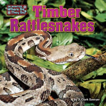 Timber Rattlesnakes - Book  of the In Winter, Where Do They Go?