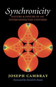 Synchronicity: Nature and Psyche in an Interconnected Universe - Book  of the Carolyn and Ernest Fay Series in Analytical Psychology