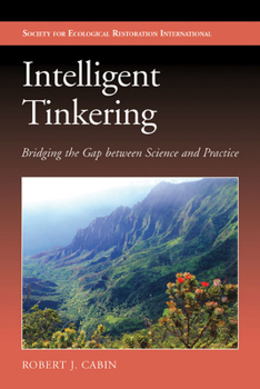 Paperback Intelligent Tinkering: Bridging the Gap Between Science and Practice Book