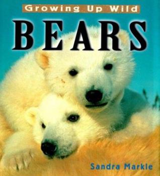 Growing Up Wild: Bears (Growing Up Wild)